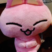 みゃおちゃん