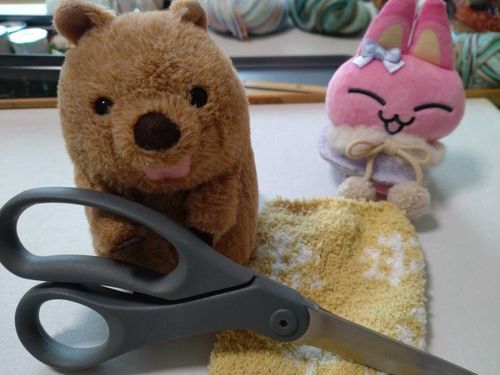 ごすずんが苦手な裁縫をしていたよ、みゃおちゃんと一緒に4時間見守ったよ(ง 'о')ว
これってまんぼの服かも！？