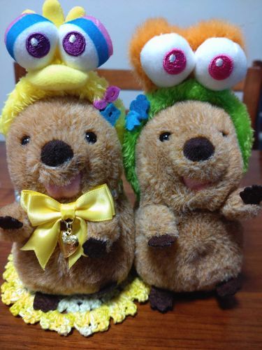 友達にもらったUSJおみやげ(ง 'о')ว