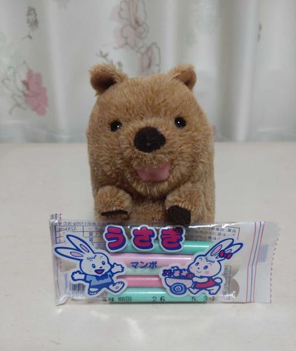 まんぼ命名の日の写真
好きな駄菓子が由来だけどごすずんの思い出のマンボはコアラ🐨だったらしいんぼ(ง 'о')ว