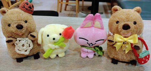 かわいいやんやんちゃんを見てまんぼをお迎えしたし、ポチっちを見てみゃおちゃんをお迎えしたとごすずんが言っている(ง 'о')ว