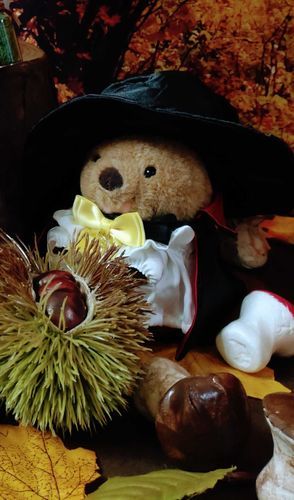 みんなー
ハッピーハロウィン(ง 'о')ว