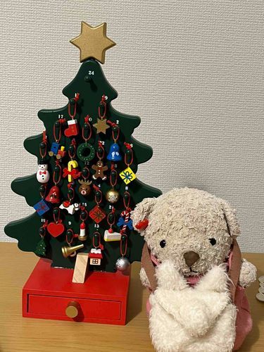 のれなかった…
クリスマスまであと1日！みんなも幸せな休日を過ごせますように♪