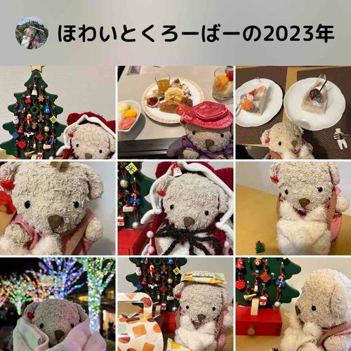 ほわくろの1年をふりかえってみたよ
ふわもこのみんなと出会えてうれしいな♡
来年もよろしくね♪