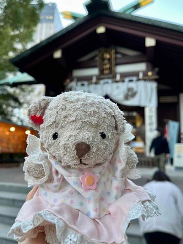 はつもうでにいってきたよ〜⛩️
みんな幸せになりますようにっておねがいしてきた〜