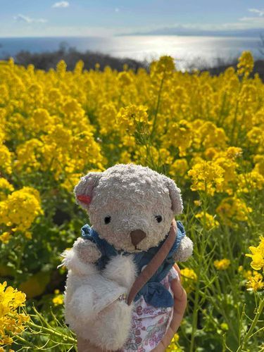 ひと足早く春を感じてきたよ〜🌼