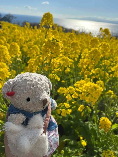 ハチさんいてちょっとびびってたの🐝
