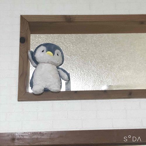 よろしくです🐧✨