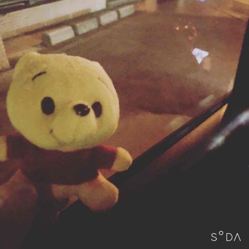 帰宅ちう
