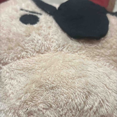 顔と鼻がでかいしずかめの豚たまにあばれる