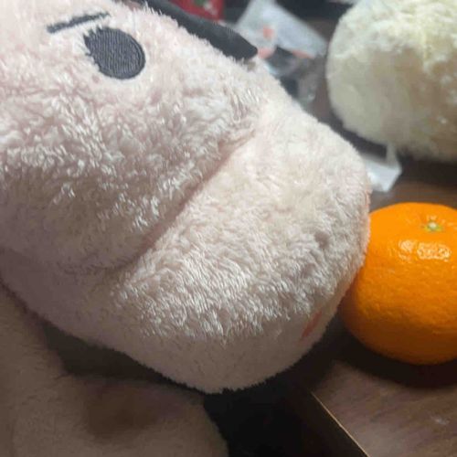 みかん食べたい……