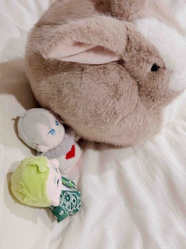 まんまるのうさぎクッションは毎日を豊かなものにしてくれますのでオススメです