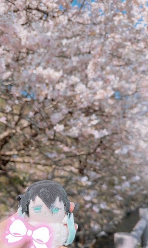 一足早く春を浴びにきています🌸