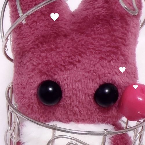 ﾌﾟﾌﾟちゃん🍎ととかちゃん🩵