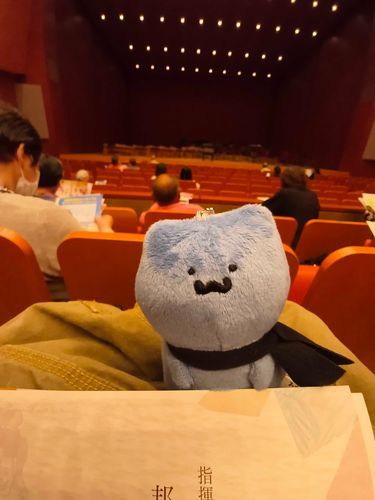 はじめてのコンサートホール。