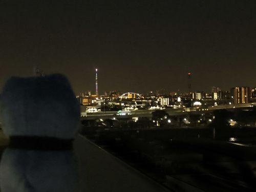 夜景とねこさん
スカイツリーは今日も綺麗ですね