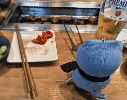 焼肉に連れてこられたねこさん。
ごめんねこさん！でも肉は美味しかった！