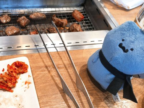 焼肉その②
ねこさんのカメラ目線いただきました。