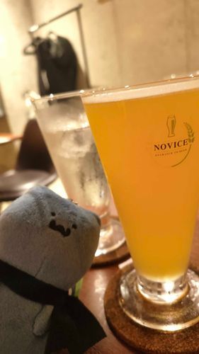 クラフトビールとねこさん。
そういえば最近はお月見狩りに行けてないなぁ