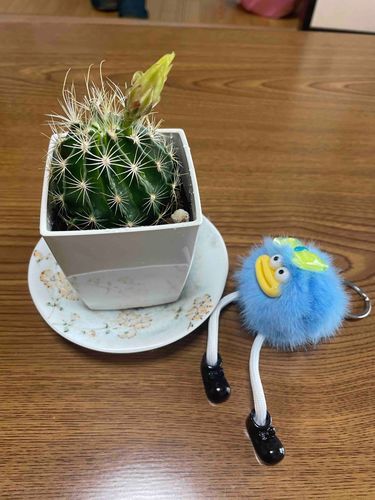 せいちょうしてる。