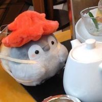 めんだこ