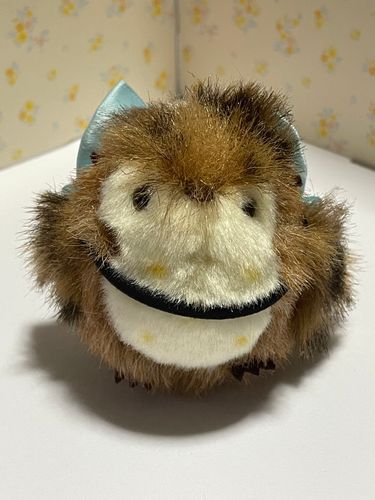 🐤「えっとえっと…
あたし、なまえは「ステラ」っていいます！らてんご？で「ほし」といういみらしいです🌠
せいべつは、おんなのこです！
じろぬいおねえちゃん、るなおねえちゃんといっしょに、ぬしのおしごとについていくことをがんばります✨
よろしくおねがいします！！」