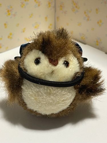 🦉「初めまして、私の名前は「ルナ」と申します。性別は女の子です。部屋の隅にいましたが、やっと主に見つけてもらいました。妹のステラと同じで登場頻度は少ないと思いますが、登場した際は皆様よろしくお願いします。」