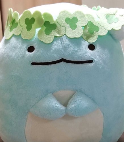 はじめてこのおうちにきた日のしゃしん。なつかしい