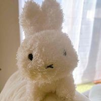 ぷく