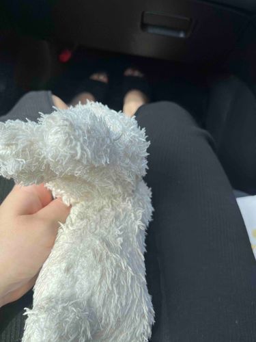 あんなちゃん、はいえんなおったから
おでかけだー！