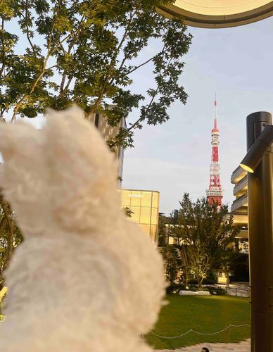 あざぶだいひるずにいってきたよ🌟