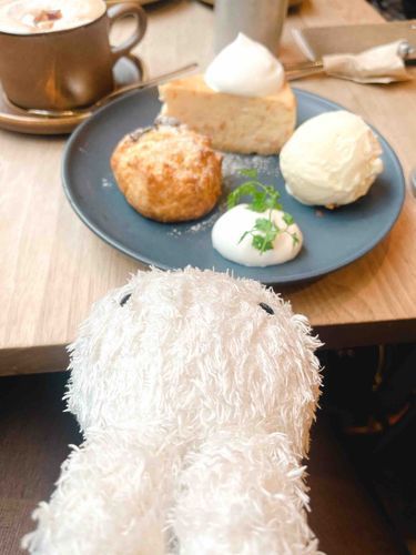 すこーんもさくさくでおいしかった🍪