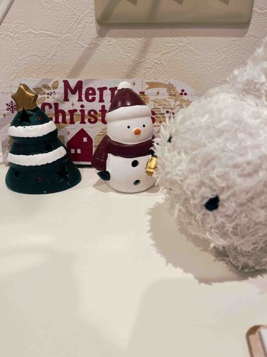 あんなちゃん、くりすますでいそがしいんだって〜🎄