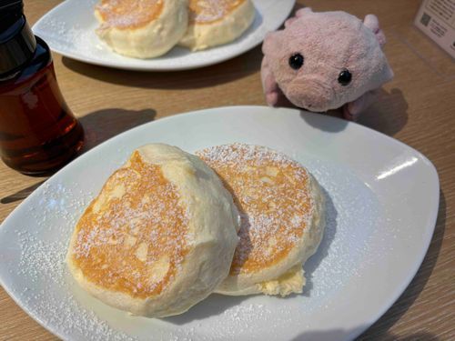 お久しぶりです。ぶーたんです。
今日はパンケーキを食べにきました。
ふわふわで美味しかったです。