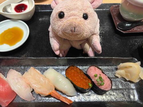美味しいお寿司を食べたよ
