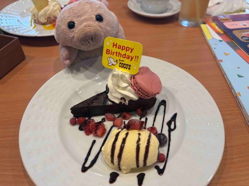 ココスのガトーショコラおいしいね！