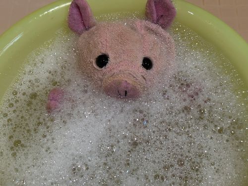 お久しぶりです、ぶーたんです。
お風呂で洗われてます。