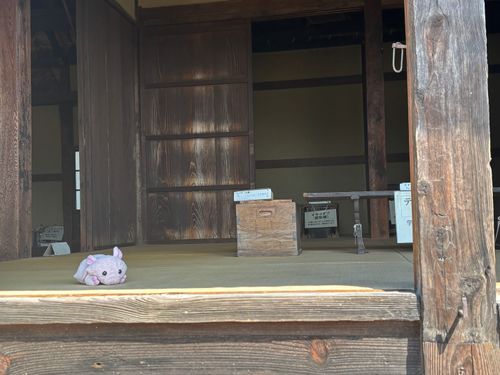 昔のお家なんだって