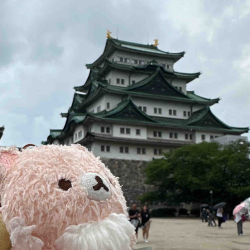 名古屋城🏯