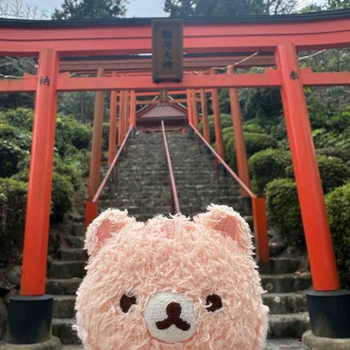 鳥居がたくさん！