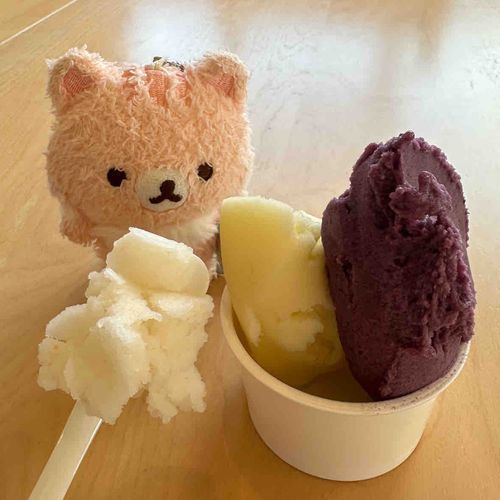 フルーツジェラート🍨
地元で採れた果物を使ったジェラート、たくさん種類があって悩みに悩んでりんごとぶどうの2種類をチョイス🍎🍇
そうしたら、レジで合言葉を言ったらワンスプーンのおまけ付きのハロウィンキャンペーン中だった！🎃
また悩んで…結局梨を頂きました🍐
全部果物の味そのままでとーっても美味しかった❣️