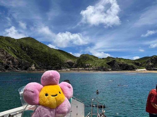 スキューバダイビング🌊🫧‪✨️