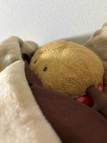 おやすみだからゴロゴロする
‎꜀(  ꜆･ω･)꜆
