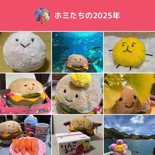 2025ふわもこありがとう⸜(*ˊᗜˋ*)⸝