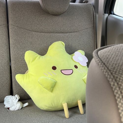 おでかけだよ🌱‬‪🚘