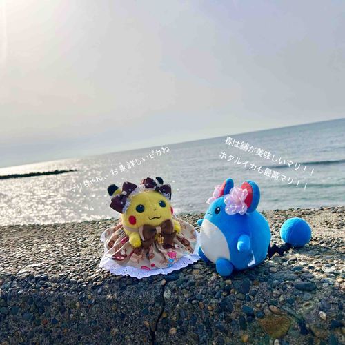 強欲マリルちゃんと海でお喋り🌊
