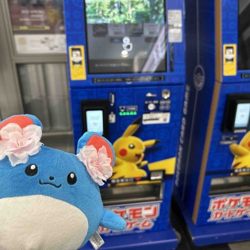 謎のカード販売機？ゲーム機？見つけたマリ！！初めて見たマリ