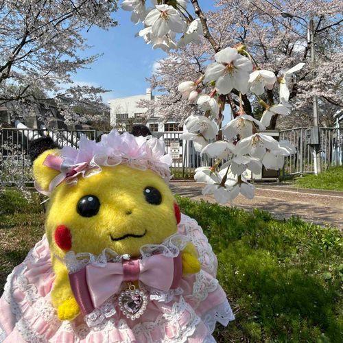 わぁ〜🌸