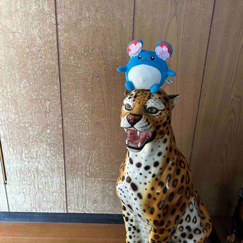 マリの子分マリ！！！🐯