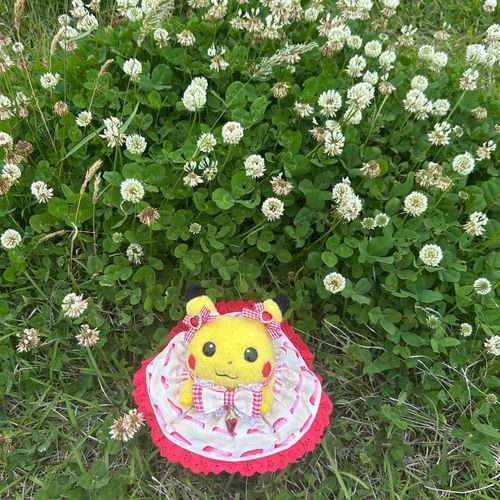 四葉探し🍀